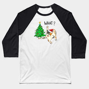 What? Funny Christmas Cat Baseball T-Shirt